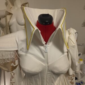 Affordable Nova and Poise Designers